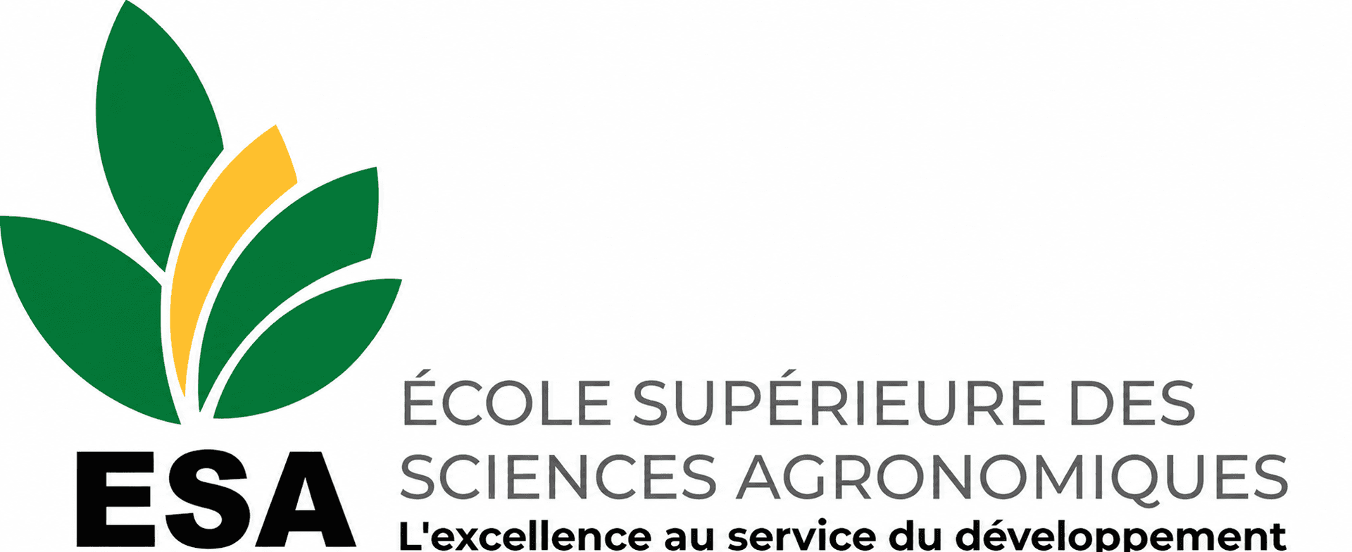 Logo officiel ESA