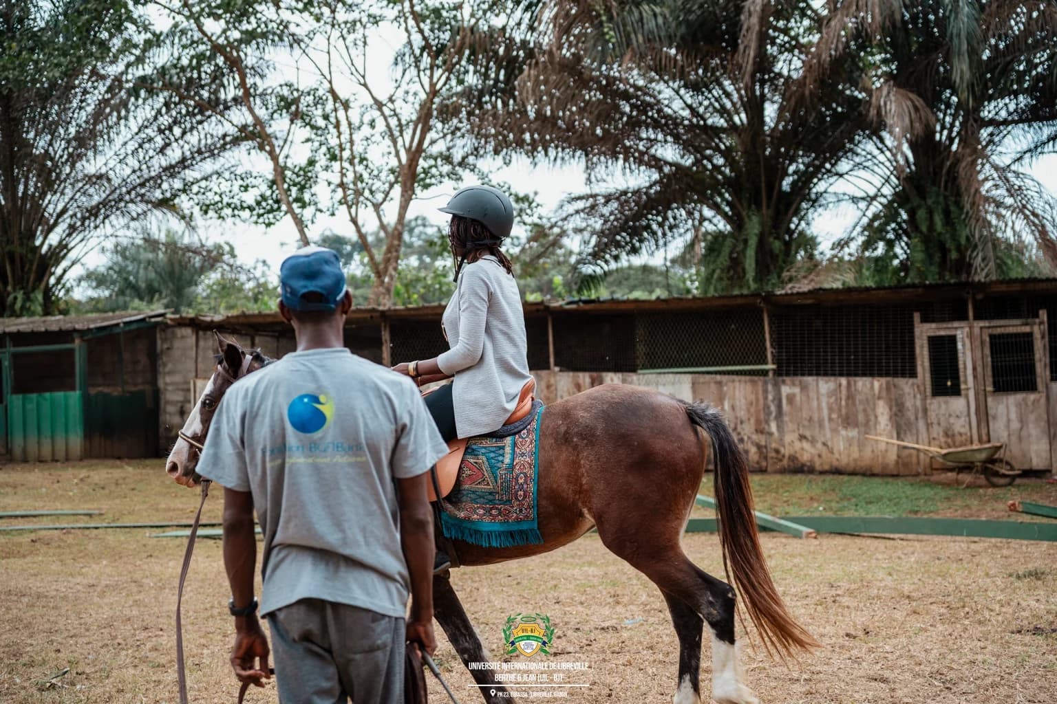 Cheval photographed in an equestrian area