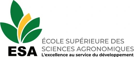 Logo officiel ESA