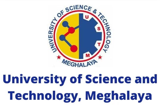 Logo de Université des Sciences et Techniques de Masuku