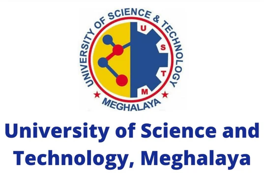 Logo de Université des Sciences et Techniques de Masuku